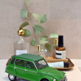 Citroën Dyane 6 1975 Tuileries Grün 1:18