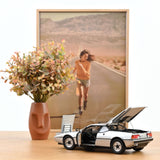 BMW M1 1980 Silbermetallic 1:18