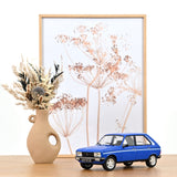 Peugeot 104 S 1981 Ibis Blau 1:18