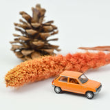 Renault 5 TL 1972 Orange 1:87