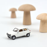 Renault 5 1972 White 1:87