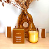 GENIAL candle sandalwood leather